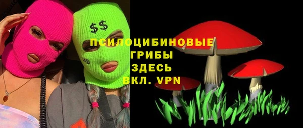 a pvp Гусиноозёрск