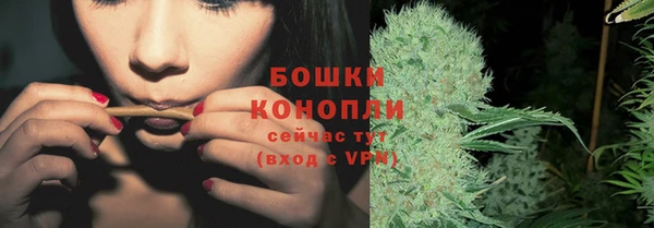гидра Гусев
