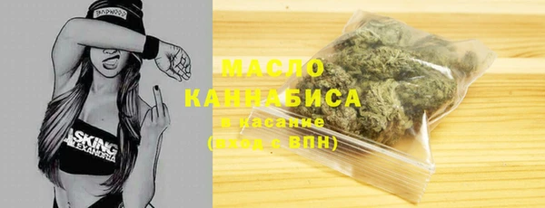гидра Гусев