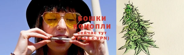 гидра Гусев