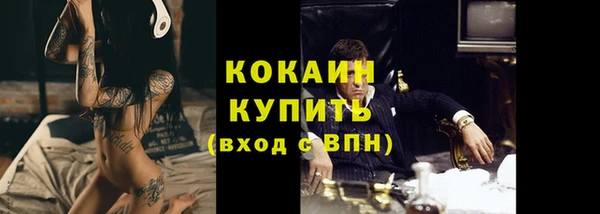 гидра Гусев