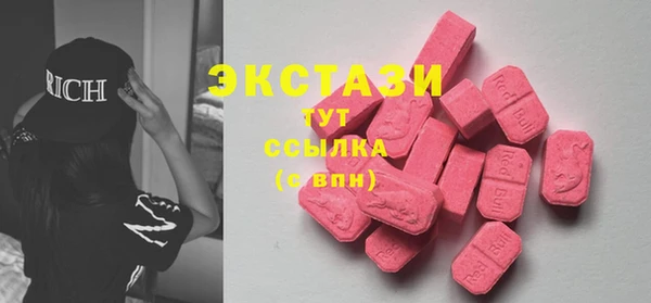 гидра Гусев