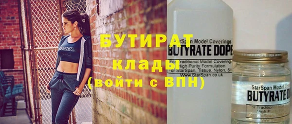 гидра Гусев