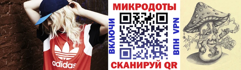 блэк спрут как зайти  купить   Елизово  Псилоцибиновые грибы MAGIC MUSHROOMS 